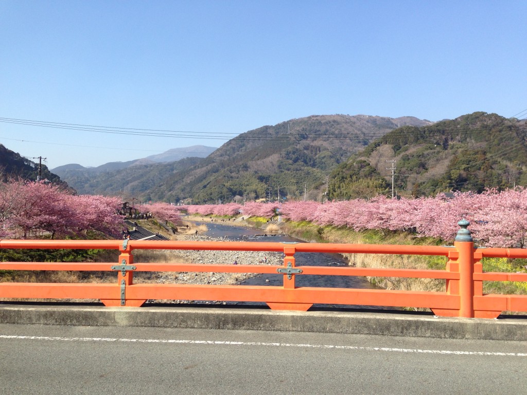 豊泉橋から上流側