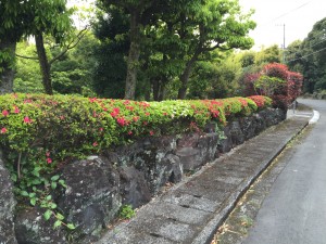IMG_3648