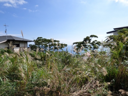 伊豆高原 あかざわ恒陽台別荘地