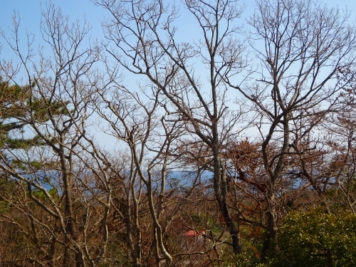 伊豆高原 伊豆急城ヶ崎別荘地