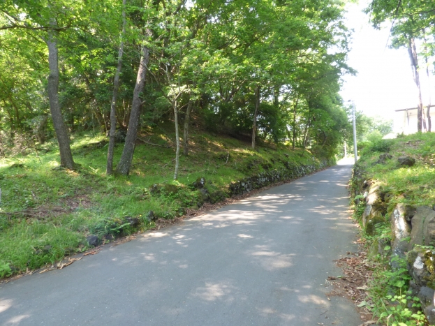 伊豆高原 すいらん荘別荘地