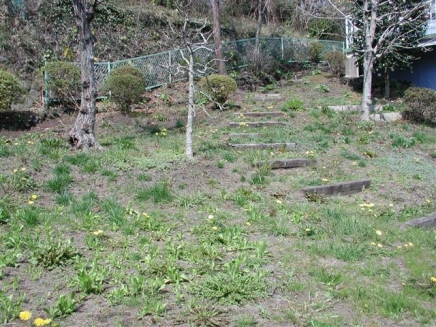 伊豆高原 大室高原別荘地　