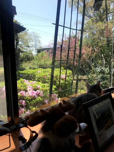 伊豆高原 すいらん荘別荘地