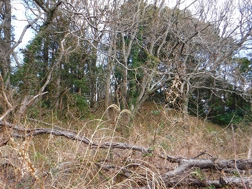 伊豆高原 伊豆急伊豆高原別荘地