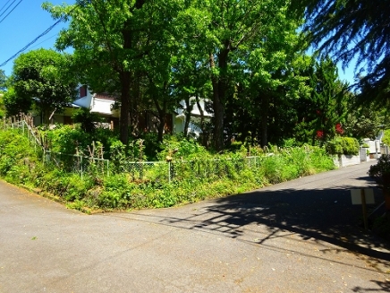 伊豆高原 伊豆急伊豆高原別荘地