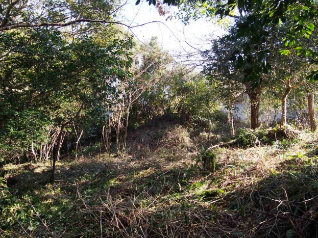 伊豆高原 殖産浮山温泉別荘地