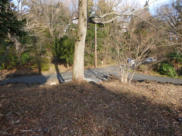 伊豆高原 すいらん荘別荘地