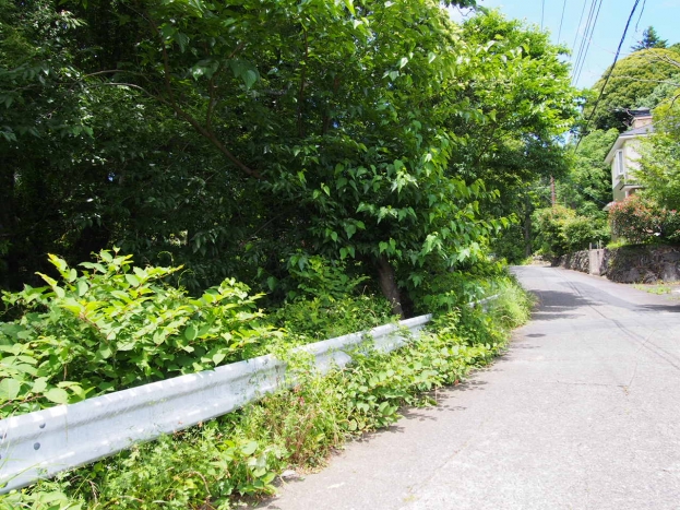 伊豆高原 すいらん荘別荘地