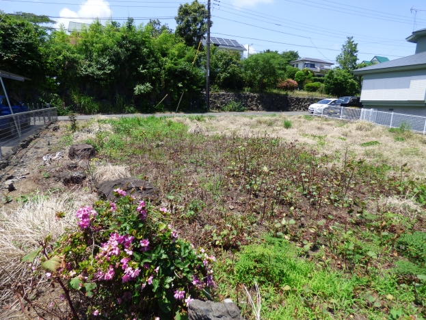 伊豆高原 大室高原別荘地