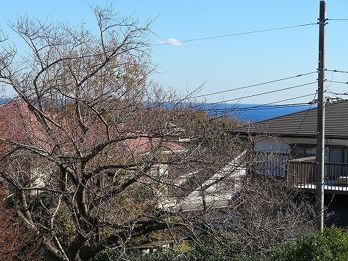 伊豆高原 伊豆急伊豆高原別荘地