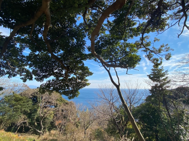 東伊豆 伊豆大川汐見崎別荘地