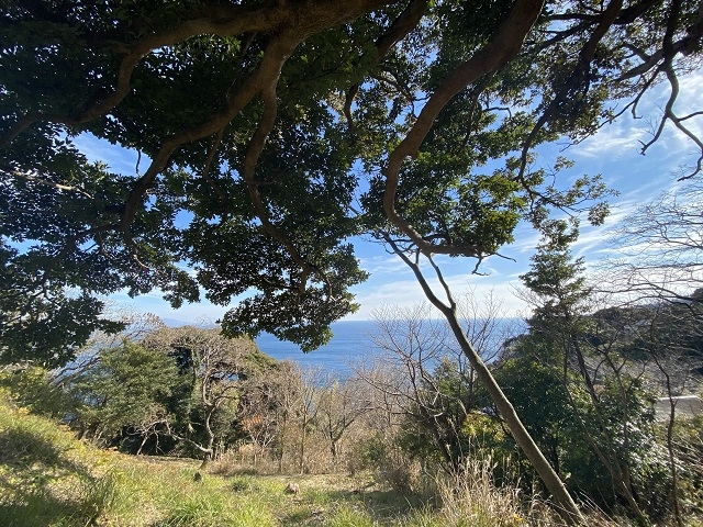 東伊豆 伊豆大川汐見崎別荘地