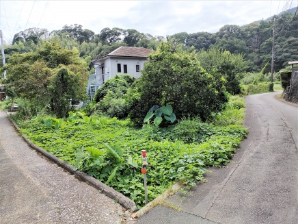 伊豆高原 八幡野分譲地外