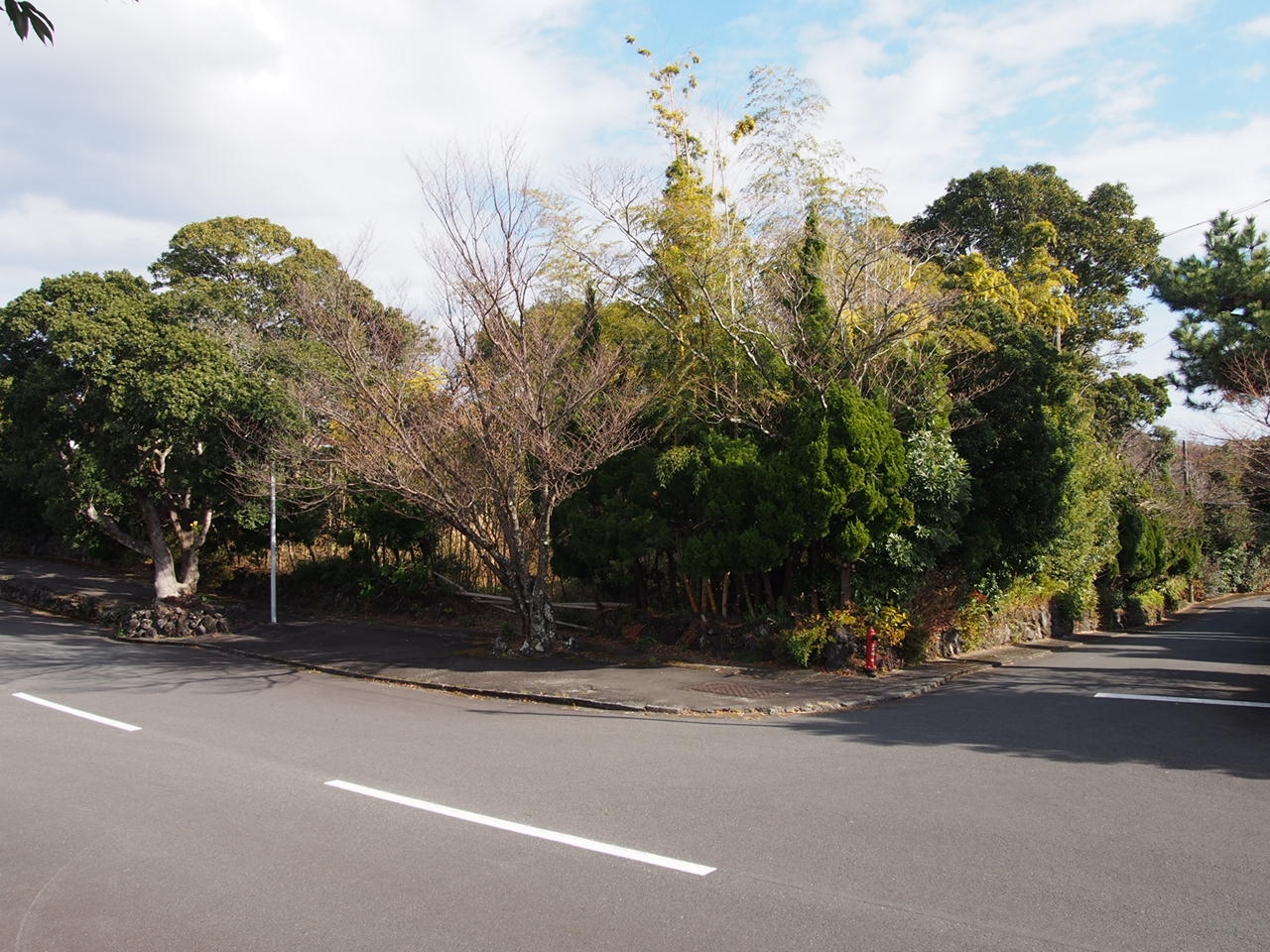 伊豆高原 殖産浮山温泉別荘地