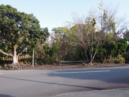 伊豆高原 殖産浮山温泉別荘地