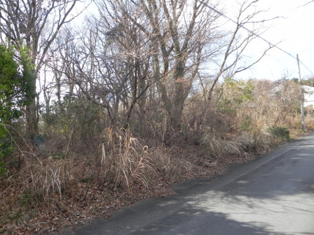 伊豆高原 大室高原別荘地