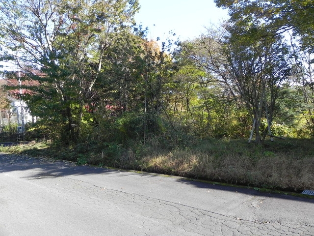 伊豆高原 大室高原別荘地