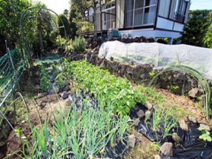 伊豆高原 伊豆急伊豆高原別荘地