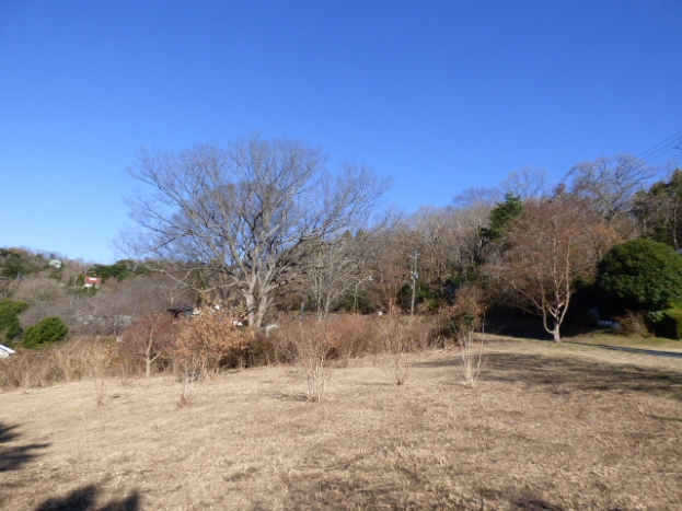 伊豆高原 イトーピア一碧湖畔保養地