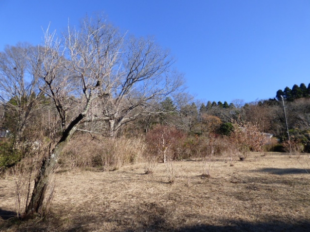 伊豆高原 イトーピア一碧湖畔保養地