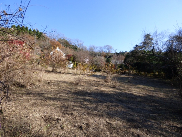 伊豆高原 イトーピア一碧湖畔保養地