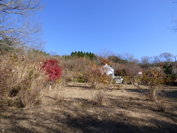 伊豆高原 イトーピア一碧湖畔保養地