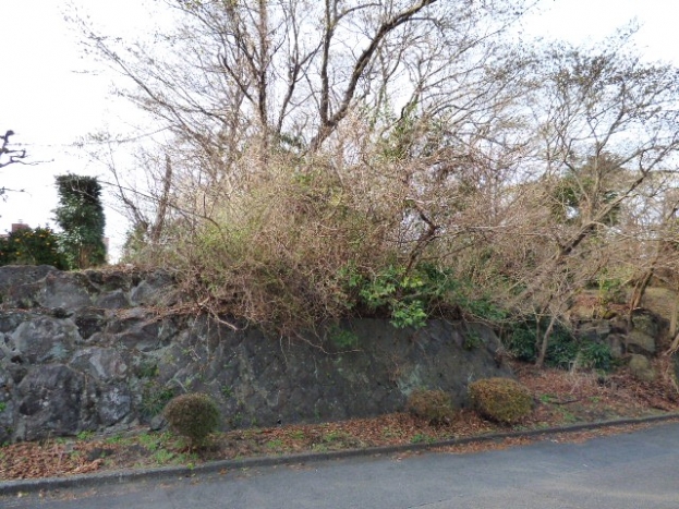 伊豆高原 イトーピア一碧湖畔別荘地