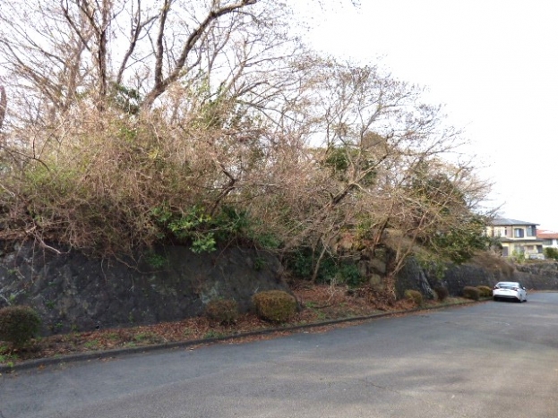 伊豆高原 イトーピア一碧湖畔別荘地