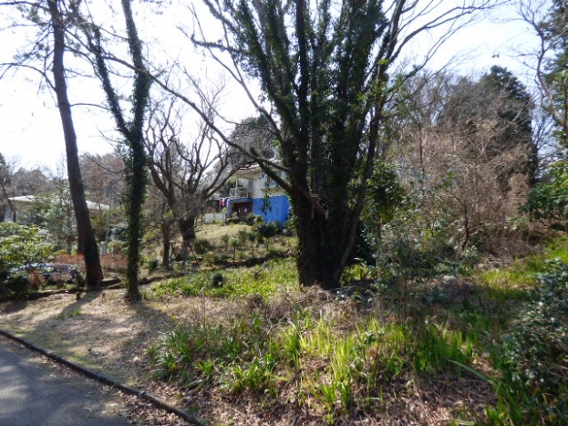 伊豆高原 イトーピア一碧湖畔別荘地