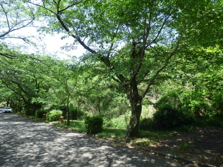 伊豆高原 イトーピア一碧湖畔別荘地