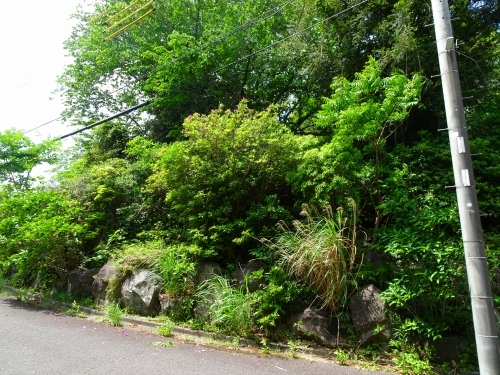 伊豆高原 伊豆急城ヶ崎別荘地