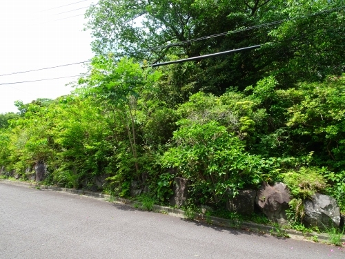 伊豆高原 伊豆急城ヶ崎別荘地