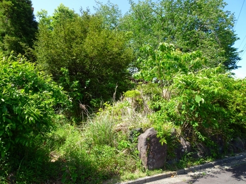 伊豆高原 伊豆急城ヶ崎別荘地