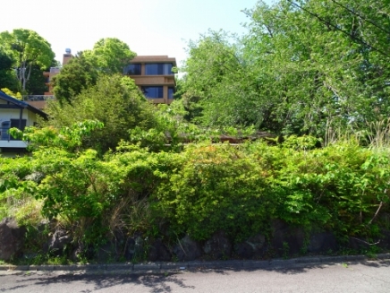 伊豆高原 伊豆急城ヶ崎別荘地