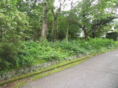 伊豆高原 伊豆急城ヶ崎別荘地