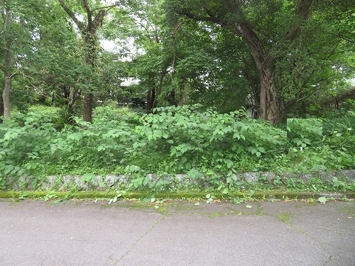 伊豆高原 伊豆急城ヶ崎別荘地