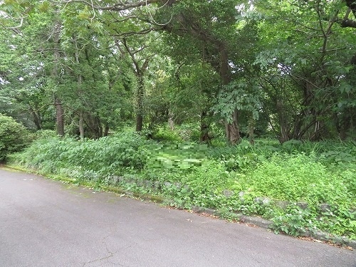 伊豆高原 伊豆急城ヶ崎別荘地