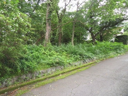 伊豆高原 伊豆急城ヶ崎別荘地