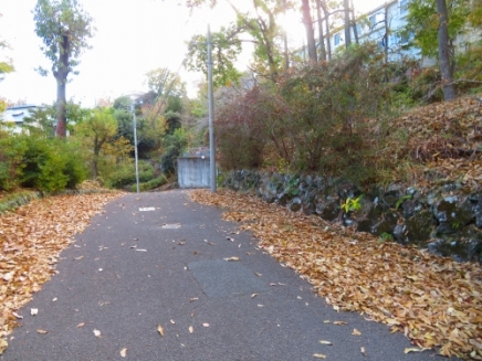 伊豆高原 伊豆急城ヶ崎別荘地