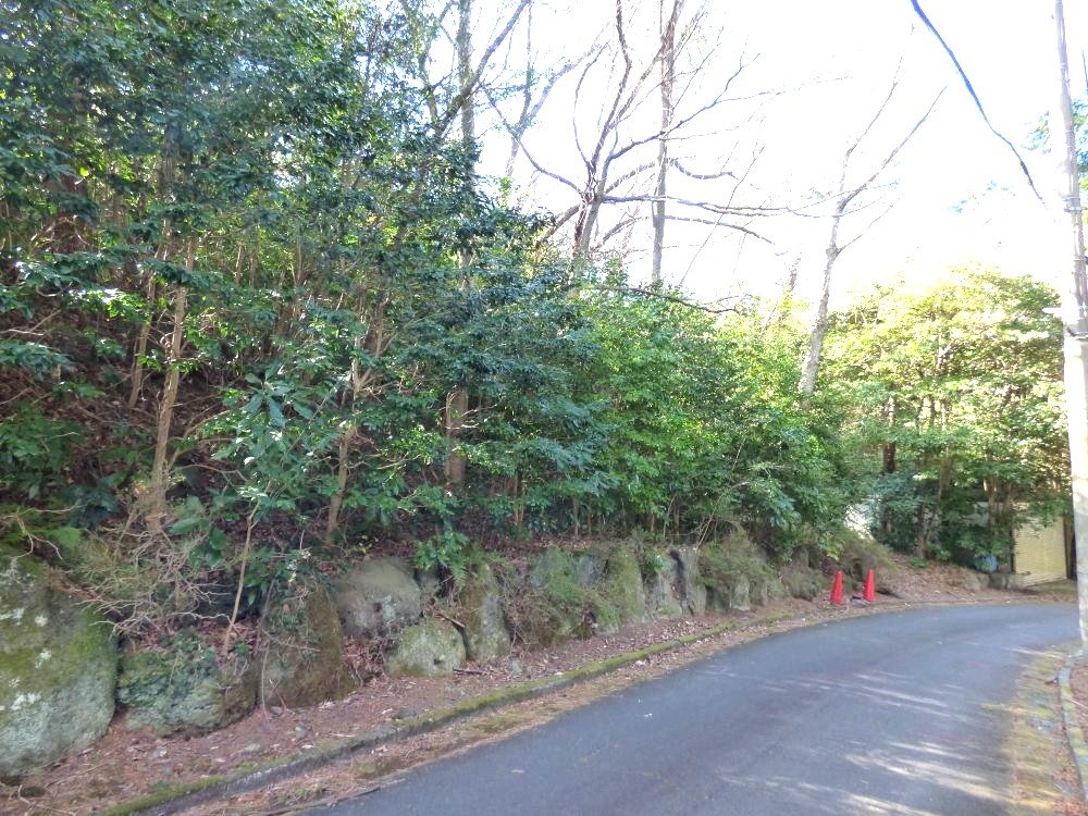 伊豆高原 イトーピア一碧湖畔別荘地