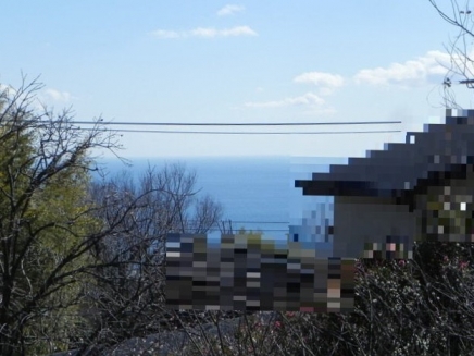 伊豆高原 大室高原別荘地