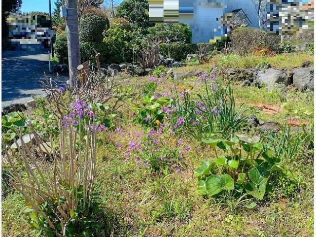 伊豆高原 大室高原別荘地
