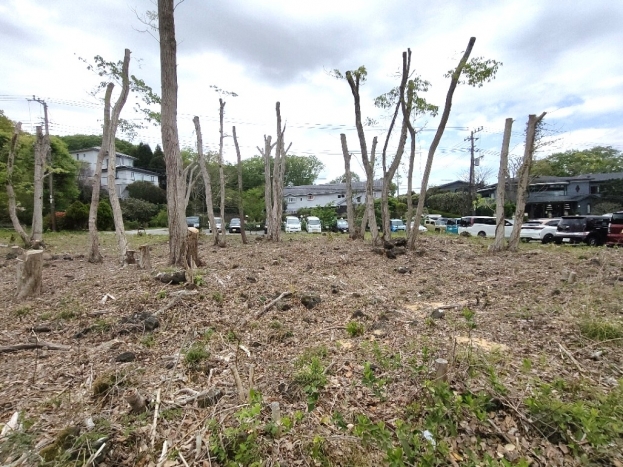 伊豆高原 イトーピア一碧湖畔保養地
