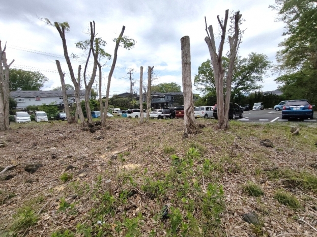 伊豆高原 イトーピア一碧湖畔保養地