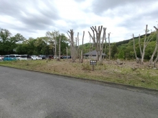 伊豆高原 イトーピア一碧湖畔保養地