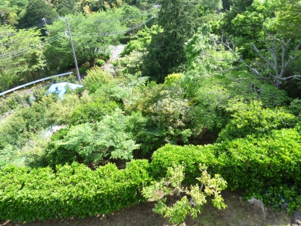 伊豆高原 あかざわ第三恒陽台別荘地