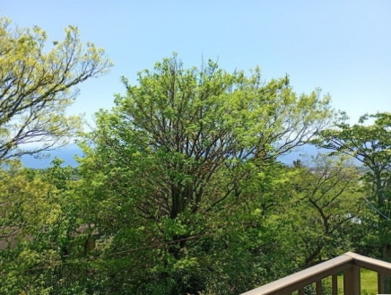伊豆高原 大室高原別荘地