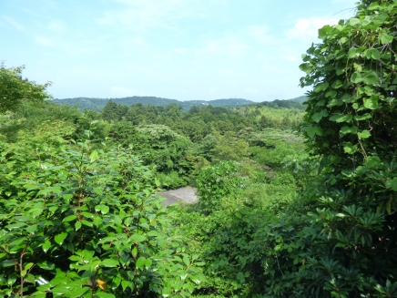 伊豆高原 イトーピア一碧湖畔別荘地