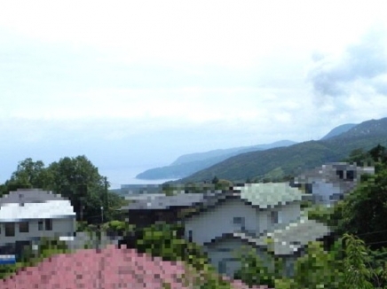 伊豆高原 大室高原別荘地