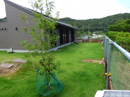 東伊豆 白田分譲地外